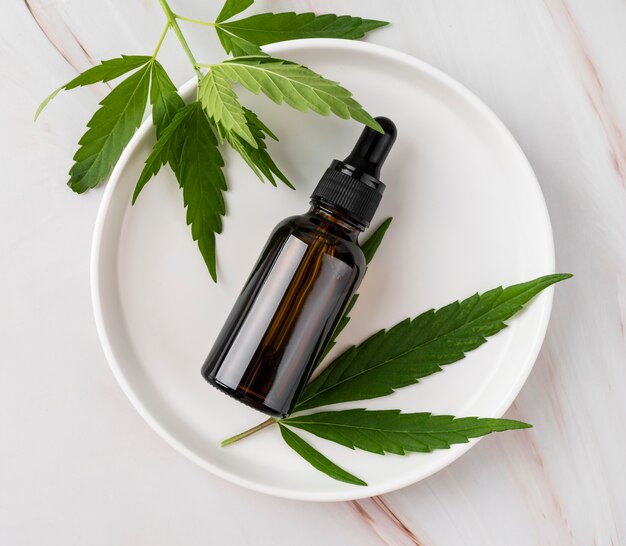 CBD and Its Impact on Heart Health: A Potential Ally for Cardiovascular Wellness